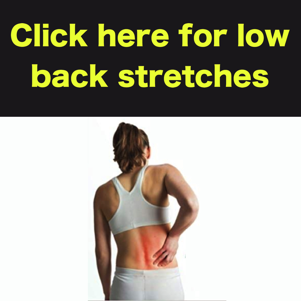 low back stretches to improve lumbar range of motion