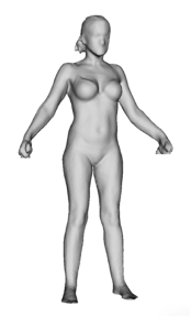 body 3-d scanner